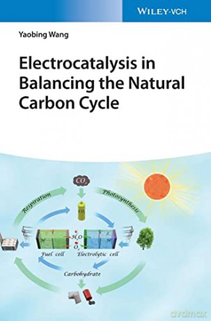 Electrocatalysis in Balancing the Natural Carbon Cycle - Yaobing Wang [KSIĄŻKA]