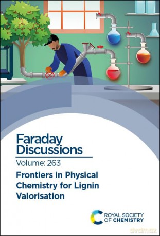 Frontiers in Physical Chemistry for Lignin Valorisation: Faraday Discussion 263: Volume 263 [KSIĄŻKA]