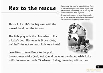 Read Write Inc. Phonics: Black and White Grey Set 7 Storybooks Pack of 130 - Gill Munton [KSIĄŻKA]