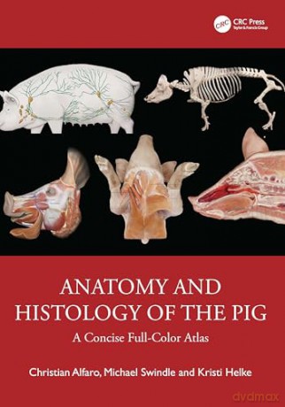Anatomy and Histology of the Pig: A Concise Full-Color Atlas - Christian Alfaro [KSIĄŻKA]