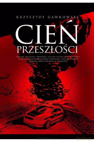 Cień przeszłości - Krzysztof Gawkowski [KSIĄŻKA]