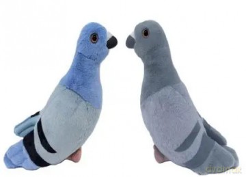 Gołąb 22cm MIX