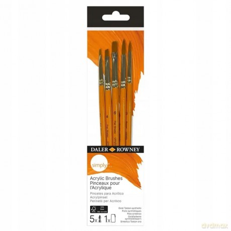 Dal Simply Acrylic Sh Brus Set