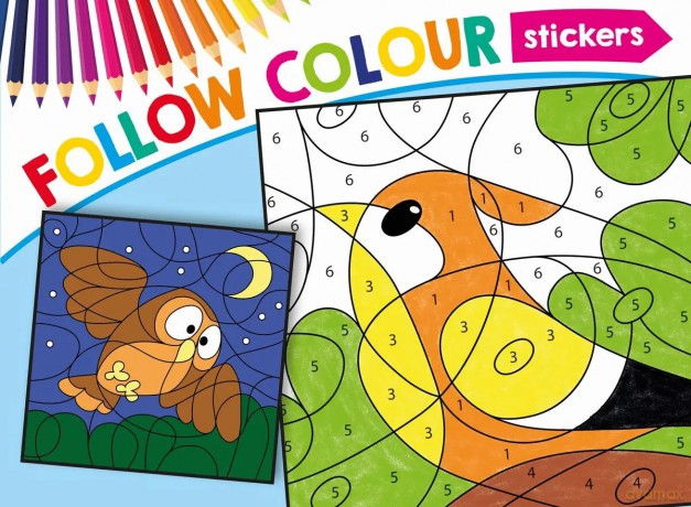 Follow Colour Ptaki [KSIĄŻKA]