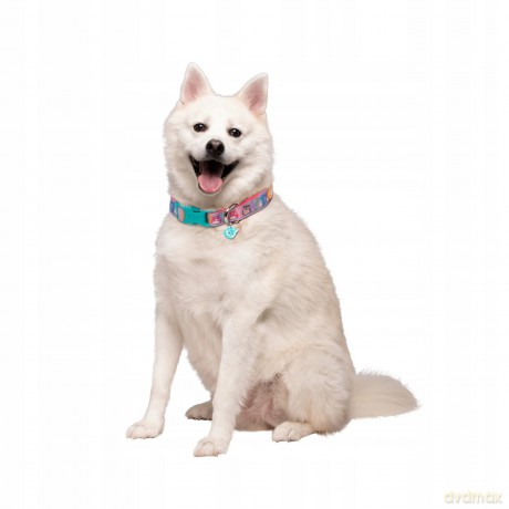 Jas Pets Obroża Dla Psa L