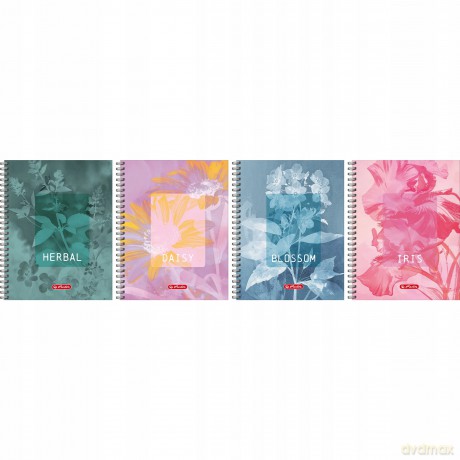 Kołozeszyt Herlitz Standard Blossom A5 80 kartek Kratka Spirala mix wzorów