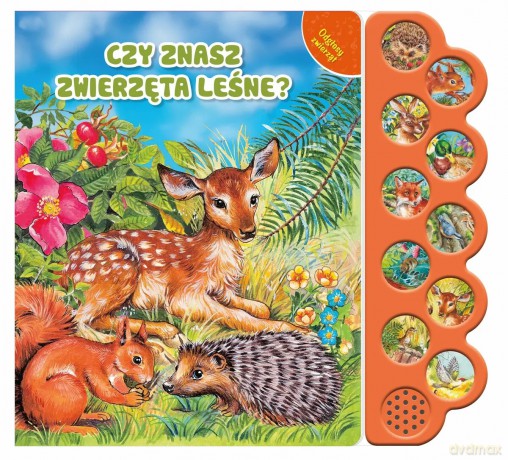 Odgłosy zwierząt. Czy znasz zwierzęta leśne [KSIĄŻKA]