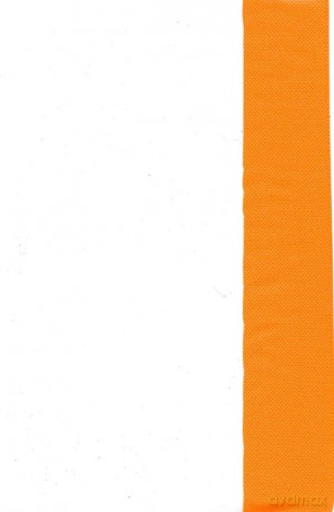 Okładki A4, pomarańczowe (10 sztuk)