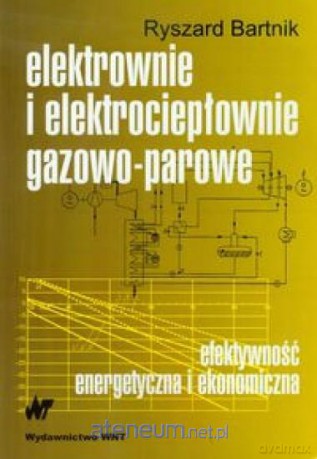 Elektrownie i elektrociepłownie gazowo-parowe [KSIĄŻKA]