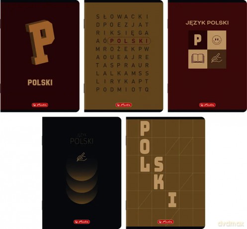 Zeszyt Herlitz Mix A5/60k Linia JĘzyk Polski