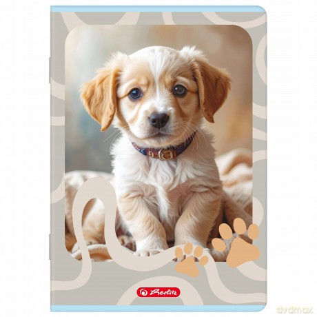 Zeszyt Herlitz Standard Animals A5/32k Kratka Z Marginesem