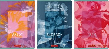 Zeszyt Herlitz Standard Blossom B5/80k Kratka z Marginesem
