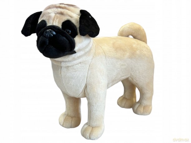 Pies Mops 45 cm
