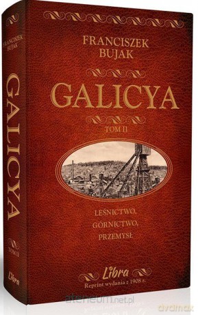 Galicya T.2 Leśnictwo, górnictwo, przemysł [KSIĄŻKA]