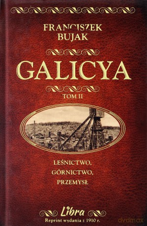 Galicya T.2 Leśnictwo, górnictwo, przemysł [KSIĄŻKA]