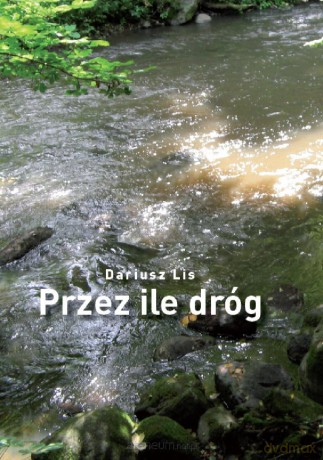 Przez ile dróg - Dariusz Lis [KSIĄŻKA]