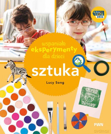 Sztuka. Wspaniałe eksperymenty - Lucy Song [KSIĄŻKA]