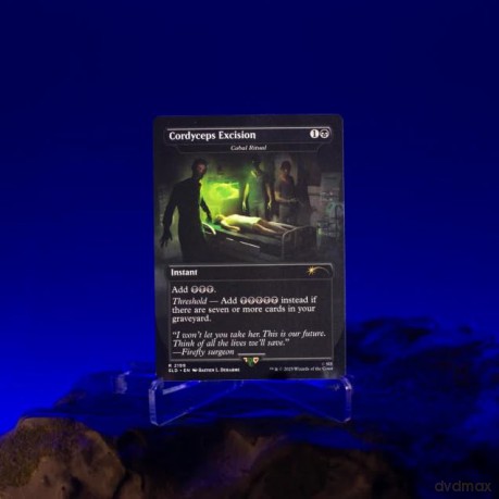 Magic the Gathering Secret Lair x PlayStation: The Last of Us Part I english
