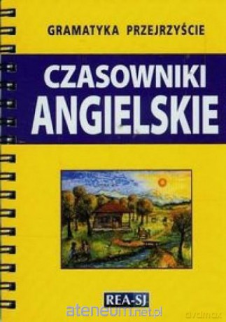 Gramatyka przejrzyście. Czasowniki angielskie [KSIĄŻKA]