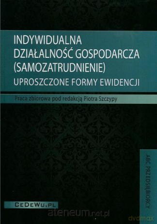Indywidualna działalność gospodarcza [KSIĄŻKA]