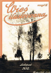 Wieś ilustrowana zeszyt 11 Listopad 1910
