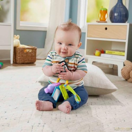FisherPrice Laugh Learn Play Go Activity Keys Voice Languages ENGRTR HWY40
