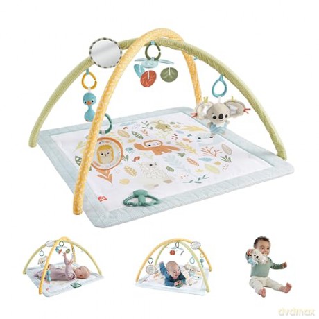 FisherPrice Simple Senses Newborn Gym JMN74