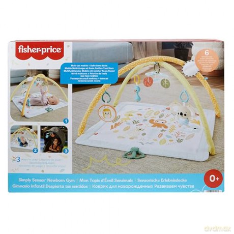 FisherPrice Simple Senses Newborn Gym JMN74