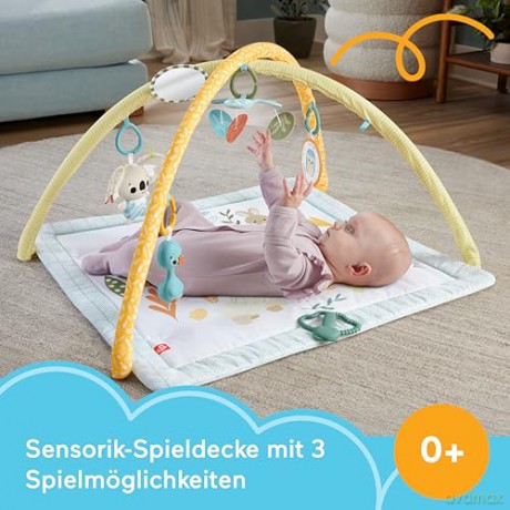 FisherPrice Simple Senses Newborn Gym JMN74