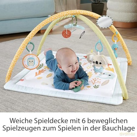 FisherPrice Simple Senses Newborn Gym JMN74