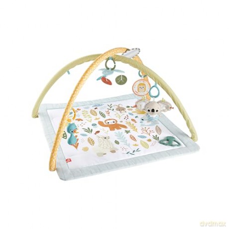 FisherPrice Simple Senses Newborn Gym JMN74