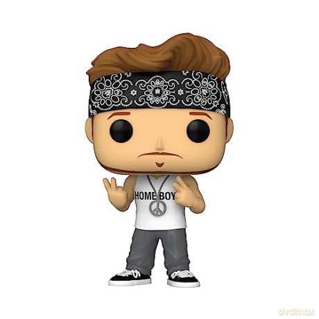 Funko Pop Rocks New Kids on the Block Donnie 312 Vinyl Figure