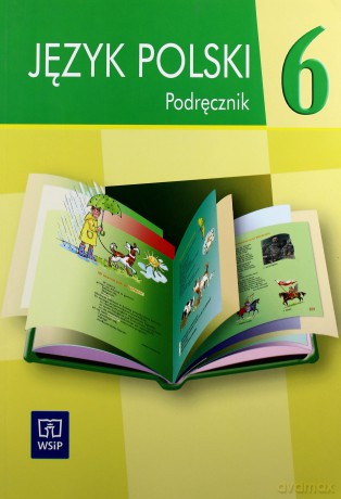 Język polski 6 podręcznik dla szkoły podstawowej specjalnej [KSIĄŻKA]