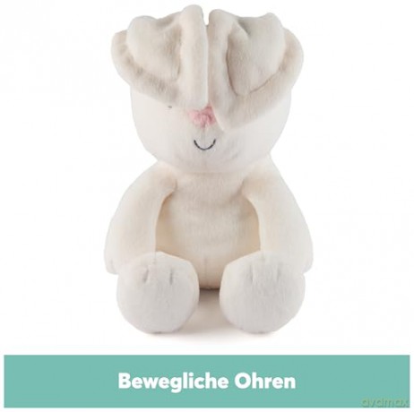 Spin Master Gund Baby Peek A Boo Little Flora the Bunny 6073994