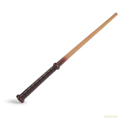 Spin Master Harry Potter Magical Collectors Professors Wands 6072497