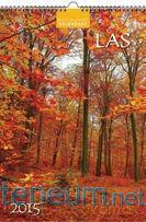 Las B3 MAT [KALENDARZ]
