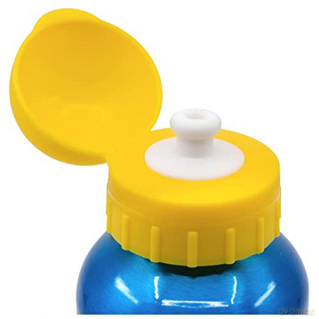 Stor Paw Patrol Pup Power High Aluminium Bottle 530ml 74660
