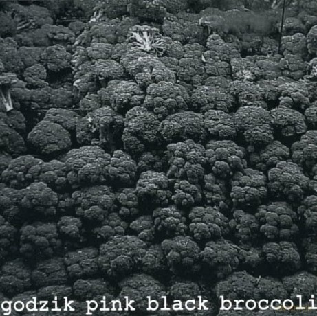 Godzik Pink: Black Broccoli [CD]