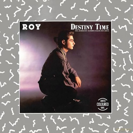 Roy: Destiny Time [Winyl]