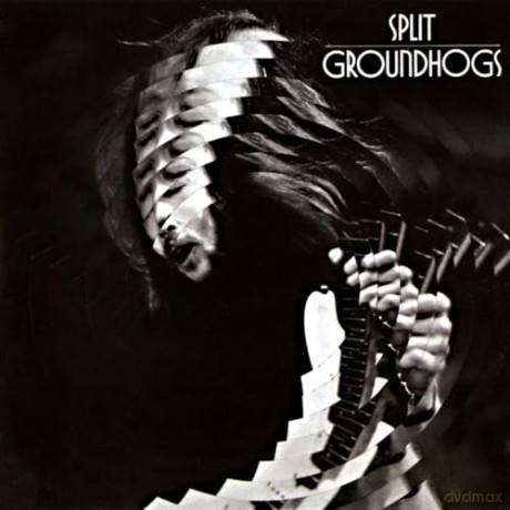 Groundhogs: Split [Winyl]