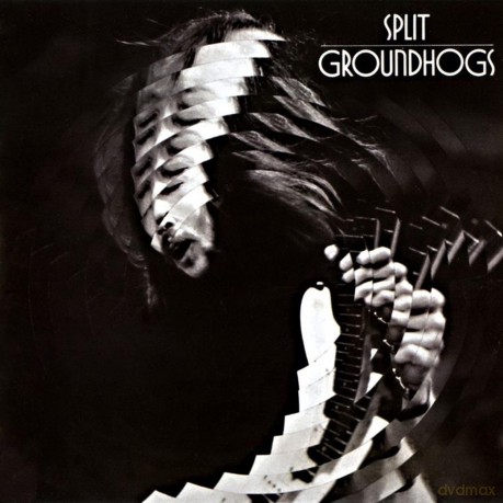 Groundhogs: Split [Winyl]