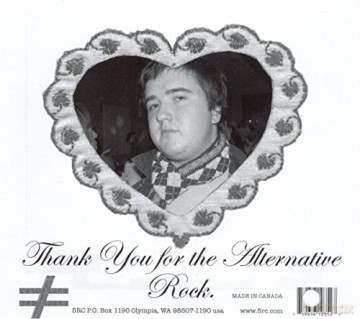 Punks: Thank You For The Alternative Rock [CD]