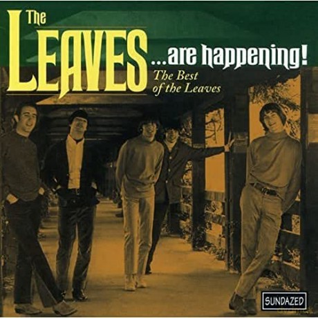 Leaves: The Leaves... Are Happening! The Best Of The Leaves [CD]