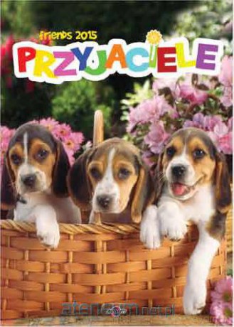 Przyjaciele AVANTI [KALENDARZ]