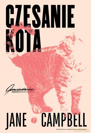 Czesanie kota - Jane Campbell [KSIĄŻKA]