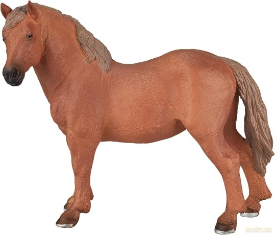 Klacz rasy Suffolk Punch ANIMAL PLANET