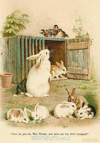 Karnet ST539 B6 + koperta Wielkanoc Króliki