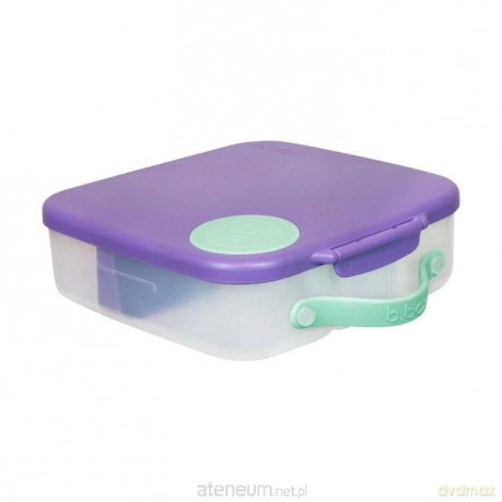 Lunchbox Lilac Pop
