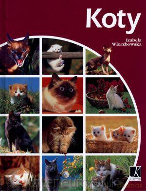 Koty [KSIĄŻKA]