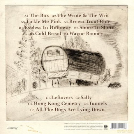 Johnny Flynn: A Larum [Winyl]